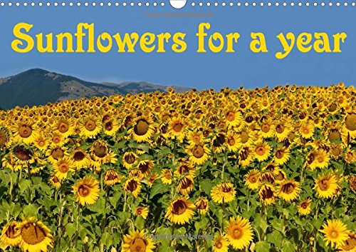 Sunflowers for a year 2016: Fresh big yellow sunflowers are beautiful. Let them brighten your year and make you smile every day! (Calvendo Nature) Garden & Plants