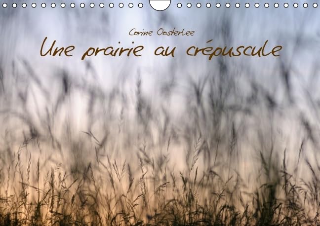 Une prairie au crépuscule 2016: Beauté des graminées (Calvendo Nature) Film, Art & Culture