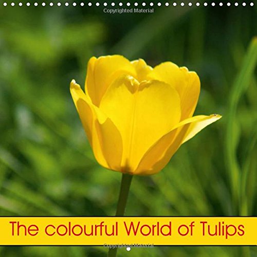 The colourful World of Tulips 2016: Beautiful Tulips in garden and parc (Calvendo Nature) Garden & Plants