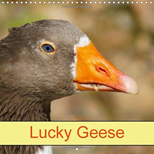 Lucky Geese 2016: Fowl and Birds (Calvendo Animals) Mathematics