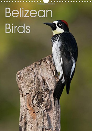Belizean Birds 2016: Some of the beautiful birds of Belize (Calvendo Nature) Mathematics