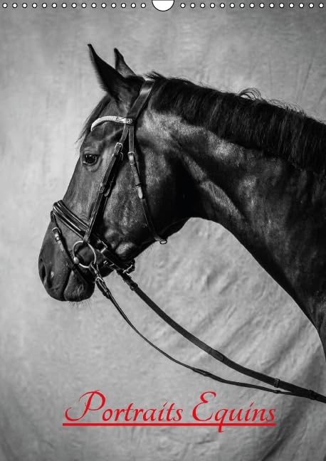 Portraits Equins 2016: Portraits en noir et blanc de chevaux (Calvendo Animaux) Travel