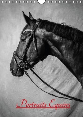 Portraits Equins 2016: Portraits en noir et blanc de chevaux (Calvendo Animaux) Travel
