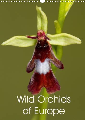 Wild Orchids of Europe 2016: Beautiful photos of wild orchids found in Europe (Calvendo Nature) Mathematics