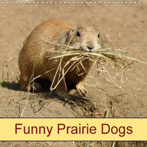 Funny Prairie Dogs 2016: Rodents and Wild Animals (Calvendo Animals) Mathematics