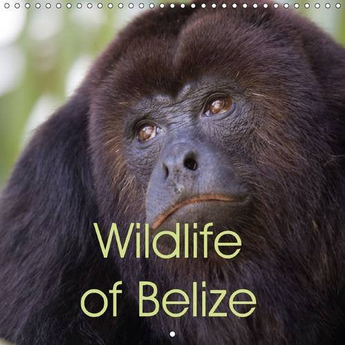 Wildlife of Belize 2016: Gorgeous wildlife photos from the Central American paradise of Belize (Calvendo Nature) Mathematics