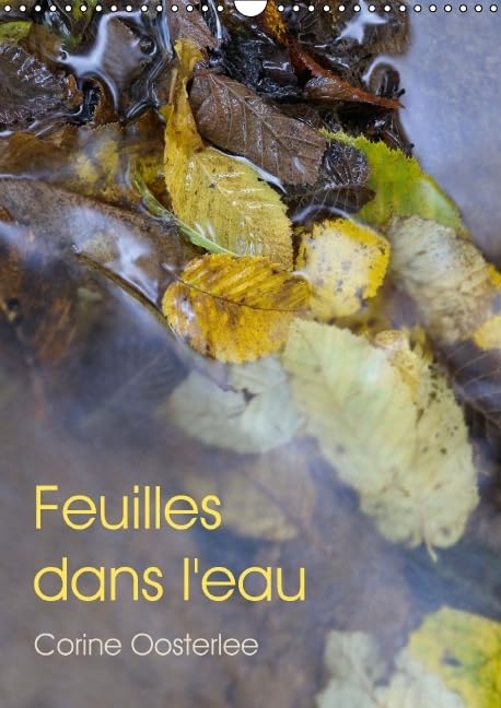 Feuilles dans l'eau 2016: Eclats de lumière sur les feuilles inondées (Calvendo Nature) Film, Art & Culture