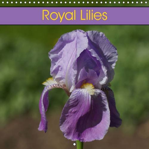 Royal Lilies 2016: Flowers and Plants (Calvendo Hobbies) Garden & Plants