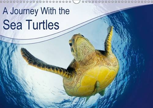A Journey With the Sea Turtles 2016: Everybody loves sea turtles. Enjoy a wonderful journey with fantastic pictures out of our oceans. (Calvendo Nature) Mathematics