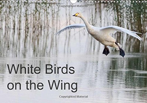 White Birds on the Wing 2016: Beautiful photographs of white birds in flight. (Calvendo Nature) Photography
