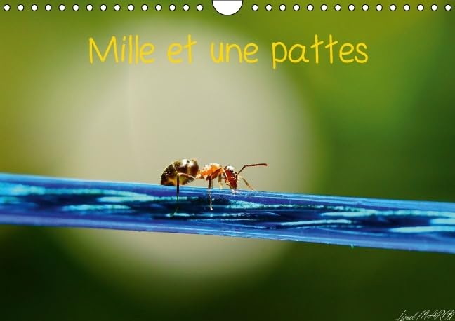 Mille et une pattes 2016: Photographie d'insectes (Calvendo Animaux) Photography