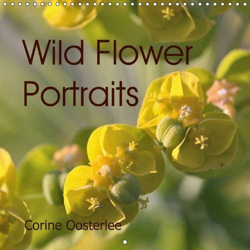 Wild Flower Portraits 2016: The beauty of nature looking at you. (Calvendo Nature) Photography