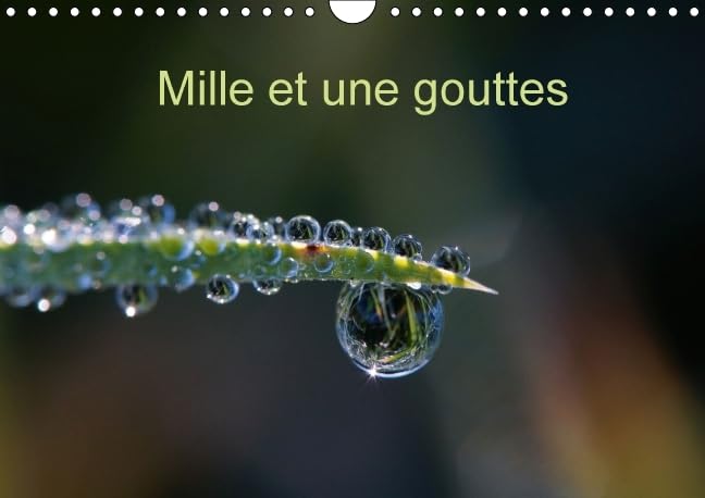 Mille et une gouttes 2016: Photos de gouttes d'eau (Calvendo Nature) Photography