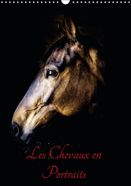 Chevaux en Portraits 2016: Portraits de chevaux en liberté et studio (Calvendo Animaux) Film, Art & Culture