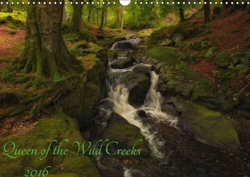 Queen of the Wild Creeks 2016: Meet the unique color palettes Wild Brown Trout (Calvendo Nature) Leisure & Fun