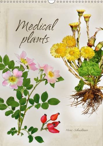 Medical plants 2016: Medical plants – very impressively shown in the style of old master craftsmen (Calvendo Nature) Film, Art & Culture