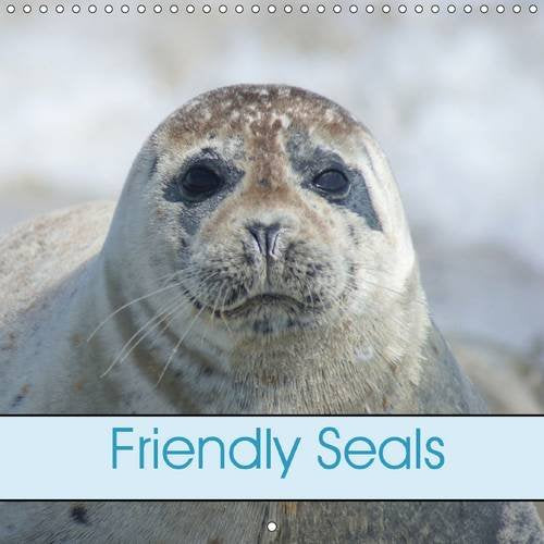 Friendly Seals 2016: Animal and Sea (Calvendo Animals) Mathematics