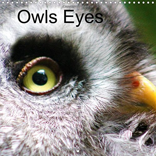Owls Eyes 2016: The owl is the symbol of the Greek goddess Athena, full of mystic stories and it's own natural beauty. (Calvendo Animals) Mathematics