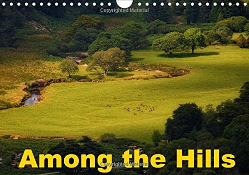 Among the Hills 2016: Enjoy a bright colour palette of mountain scenery in Ireland (Calvendo Nature) Photography