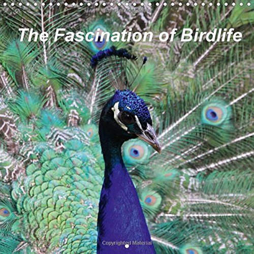 The Fascination of Birdlife 2016: `the birdlife includes herons, ducks, storks, ostrich, herons and more. (Calvendo Nature) Travel
