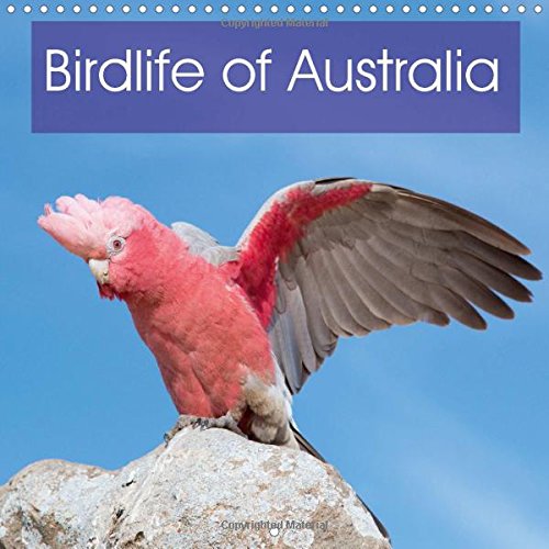 Birdlife of Australia 2016: A beautiful calendar that showcases some of the unique birdlife of Australia (Calvendo Nature) Mathematics