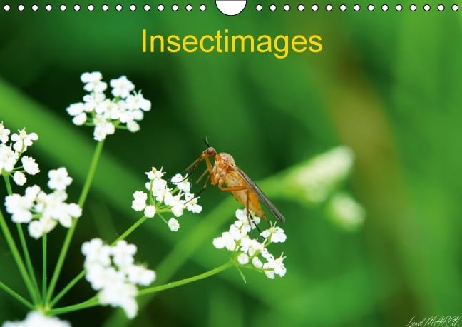 Insectimages 2016: Photographies d'insectes (Calvendo Animaux) Photography