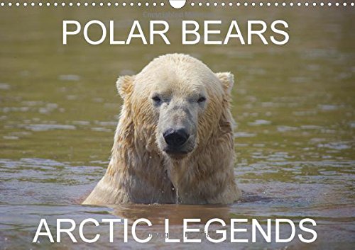 POLAR BEARS - ARCTIC LEGENDS 2016: 2 Male Polar Bears compete in a test of strength. (Calvendo Places) Mathematics