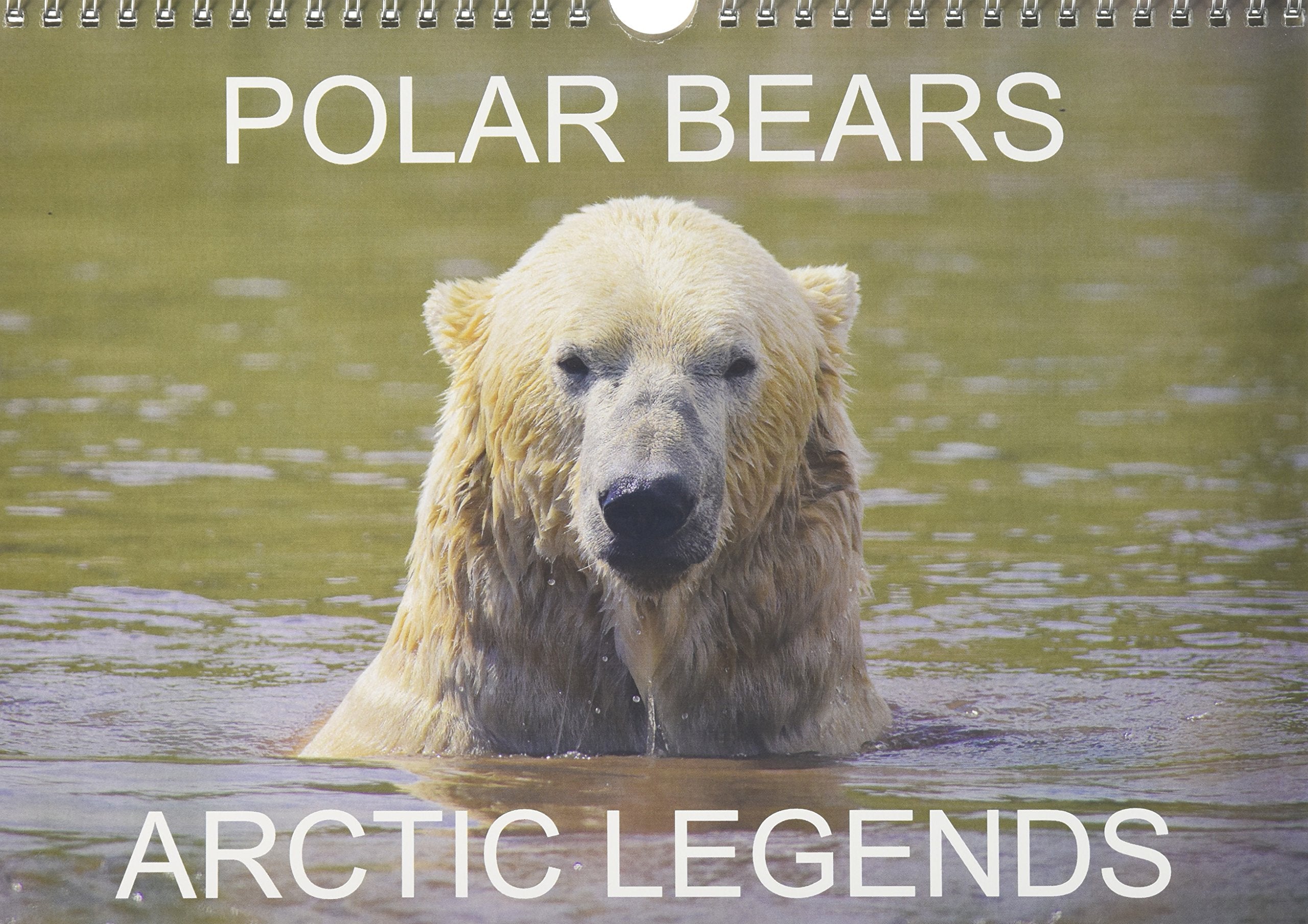 POLAR BEARS - ARCTIC LEGENDS 2016: 2 Male Polar Bears compete in a test of strength. (Calvendo Places) Mathematics