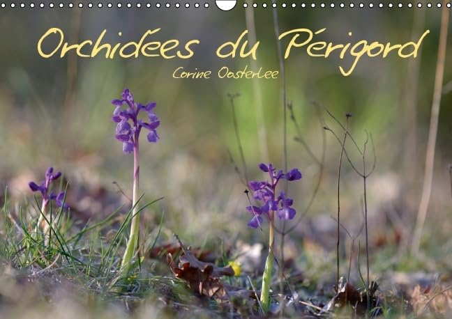 Orchidées du Périgord 2016: Belles et fragiles fleurs sauvages (Calvendo Nature) Photography