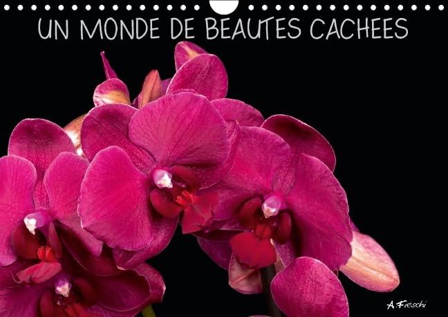 Un monde de beautés cachées 2016: Venez découvrir mon univers graphique et coloré, chargé de sensations visuelles. (Calvendo Nature) Photography