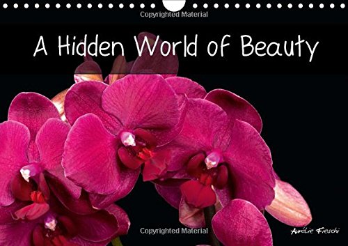 A Hidden World of Beauty 2016: Welcome to my universe - graphic and rich in colour, full of different visual experiences. (Calvendo Nature) Photography