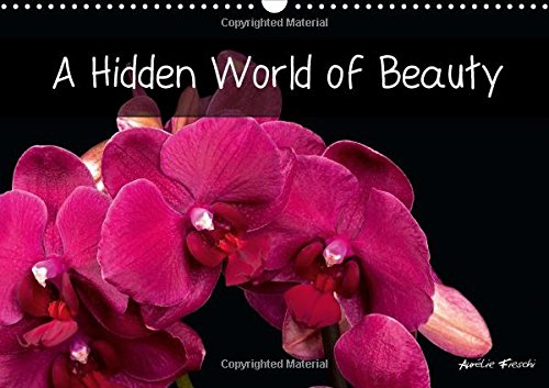 A Hidden World of Beauty 2016: Welcome to my universe - graphic and rich in colour, full of different visual experiences. (Calvendo Nature) Photography