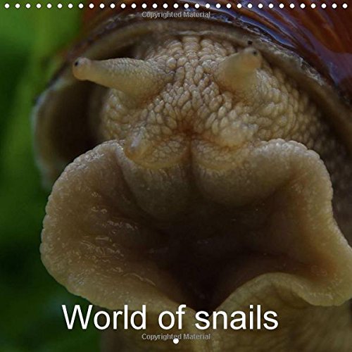 World of snails 2016: Nature and living (Calvendo Animals) Mathematics