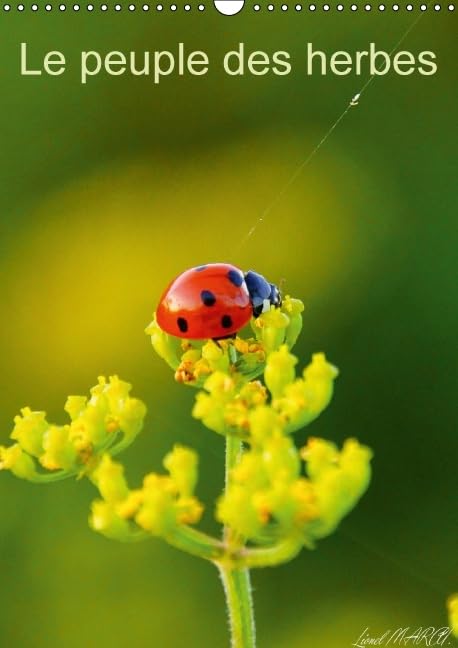 Le peuple des herbes 2016: Photos d'insectes (Calvendo Nature) Photography
