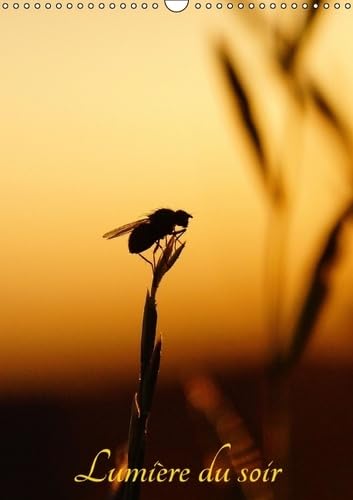 Lumiere du soir 2016: Images de fins de journee (Calvendo Nature) Film, Art & Culture
