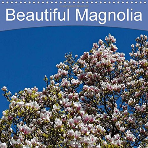 Beautiful Magnolia 2016: Beautiful Magnolia (Calvendo Nature) Mathematics