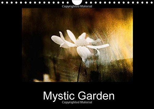 Mystic Garden 2016: Open your mind to vibrant, abstract colours. (Calvendo Art) Film, Art & Culture