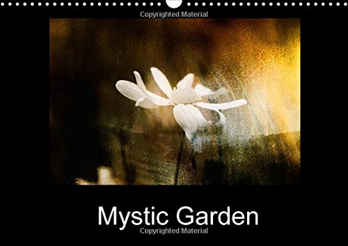 Mystic Garden 2016: Open your mind to vibrant, abstract colours. (Calvendo Art) Film, Art & Culture