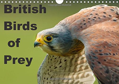 British Birds of Prey 2016: Birds of Prey found in the United Kingdom (Calvendo Animals) Mathematics