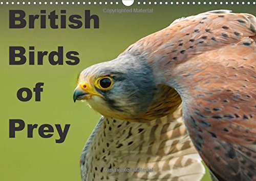British Birds of Prey 2016: Birds of Prey found in the United Kingdom (Calvendo Animals) Mathematics