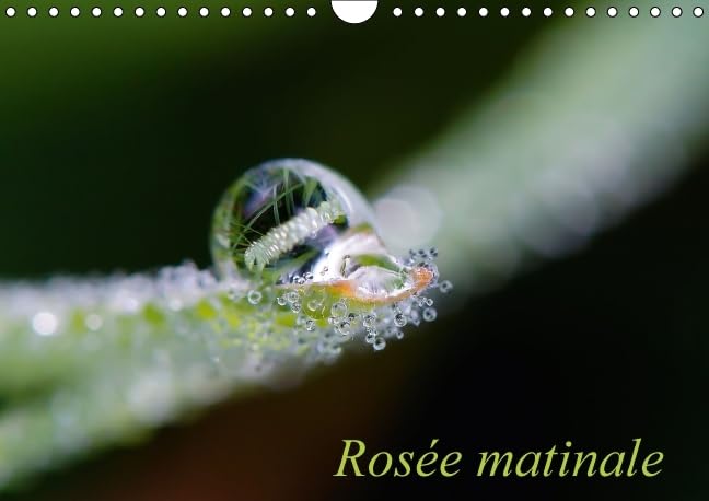 Rosee matinale 2016: Photographie matinale (Calvendo Nature) Photography