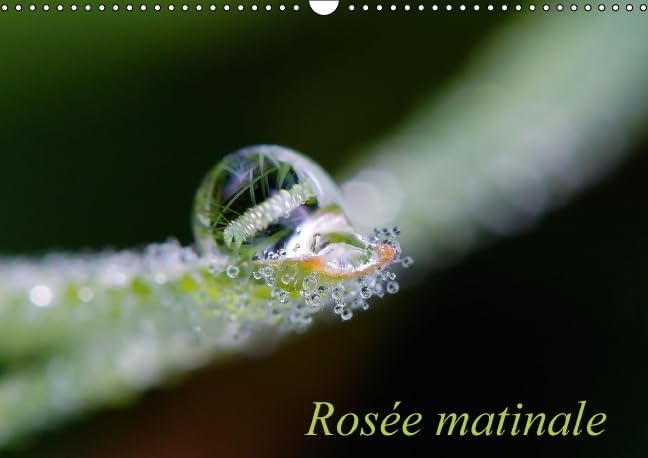 Rosee matinale 2016: Photographie matinale (Calvendo Nature) Photography