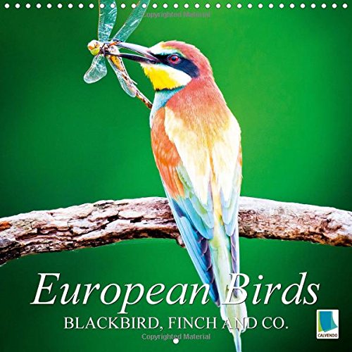 European Birds: Blackbird, Finch and Co. 2016: The Diversity Of Europe's Birdlife (Calvendo Animals) Mathematics