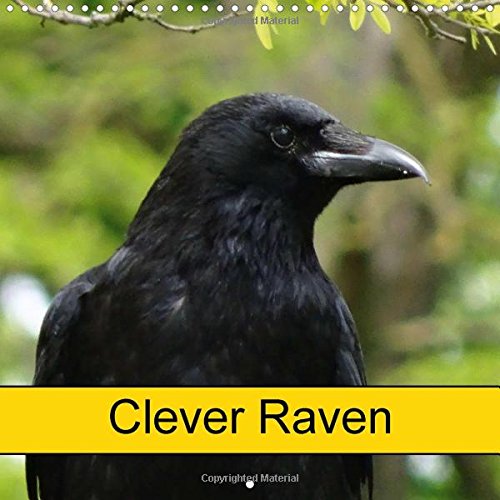 Clever Raven 2016: Bird and Animal (Calvendo Animals) Mathematics