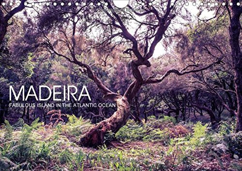Madeira - fabulous island in the Atlantic Ocean 2016: Pictures of volcano island and its fabulous nature (Calvendo Places) Geology & Geography