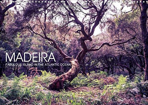 Madeira - fabulous island in the Atlantic Ocean 2016: Pictures of volcano island and its fabulous nature (Calvendo Places) Geology & Geography