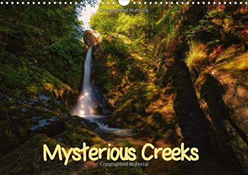 Mysterious Creeks 2016: Immerse yourself in the fabulous world of the wild streams (Calvendo Nature) Photography