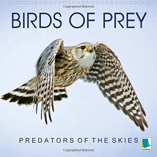 Birds of Prey Predators of the Skies 2016: Raptors - Stooping Towards Success (Calvendo Animals) Mathematics
