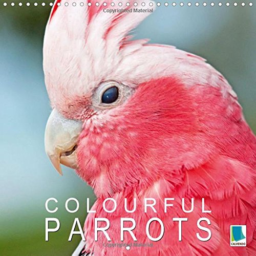 Colourful Parrots 2016: Macaws, Lorikeets And Cockatoos In All Their Splendour (Calvendo Animals) Mathematics