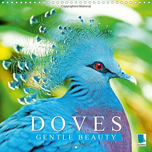 Doves Gentle Beauty 2016: Gentle Cooings And Soft Wingbeats (Calvendo Animals) Mathematics